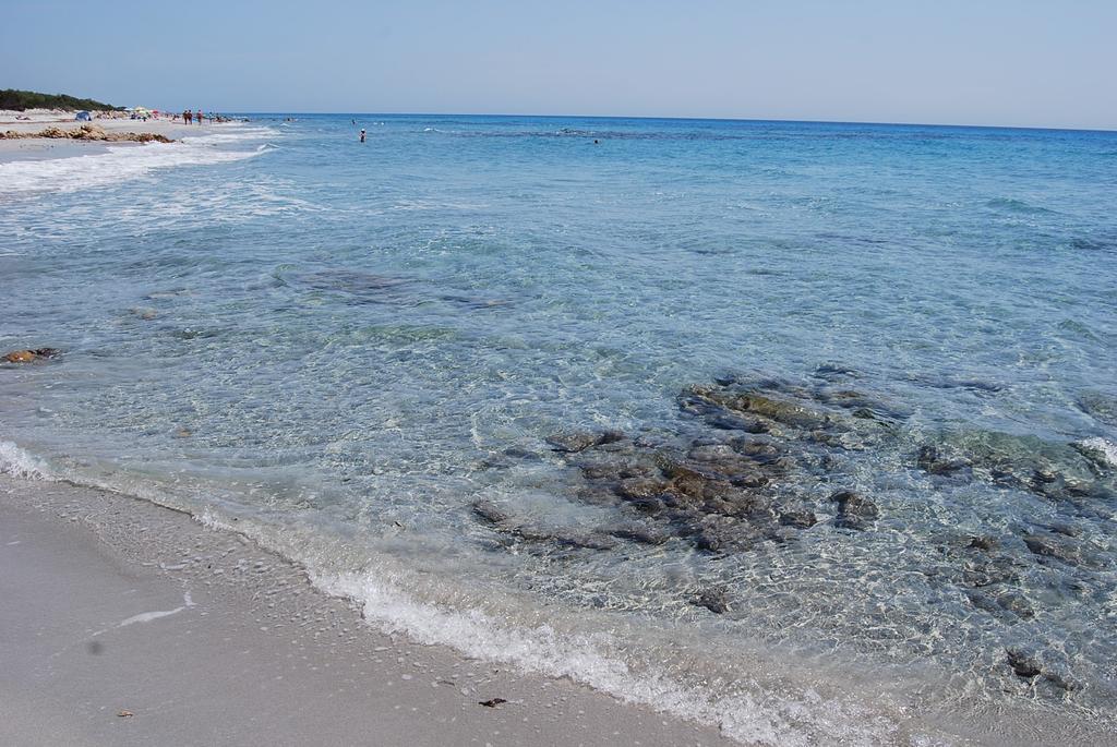 B&B Il Mirto Di Paola Torpe Экстерьер фото