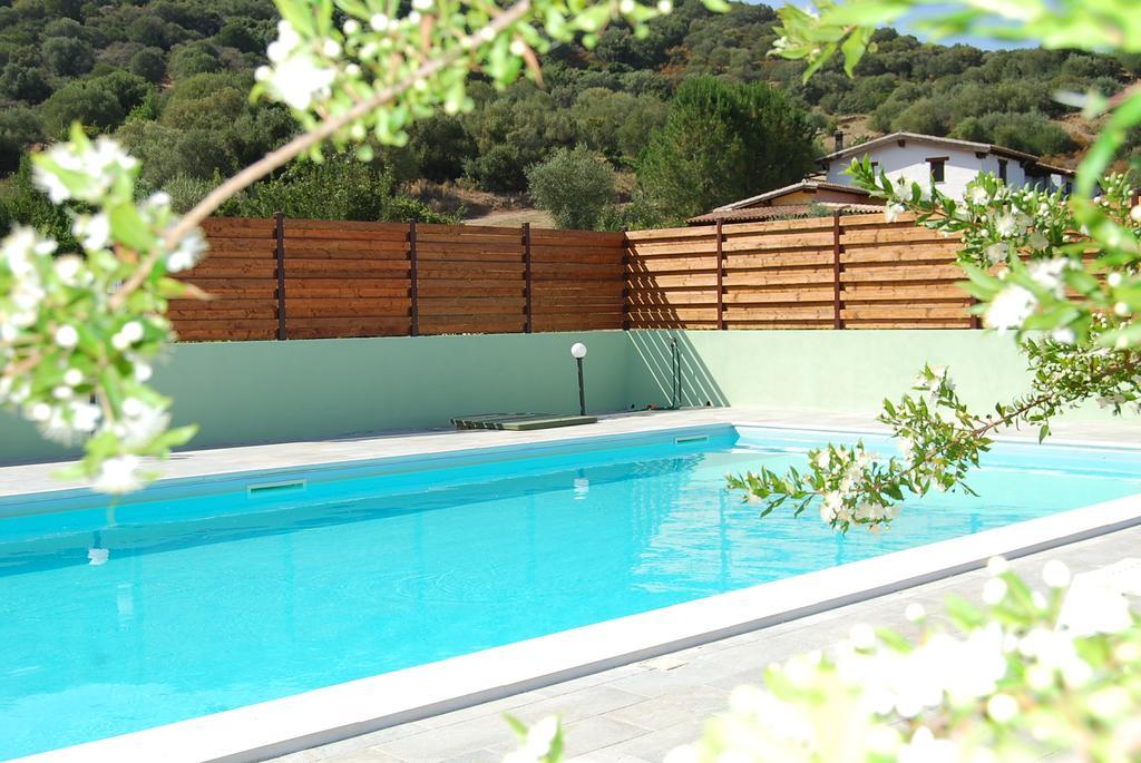 B&B Il Mirto Di Paola Torpe Экстерьер фото